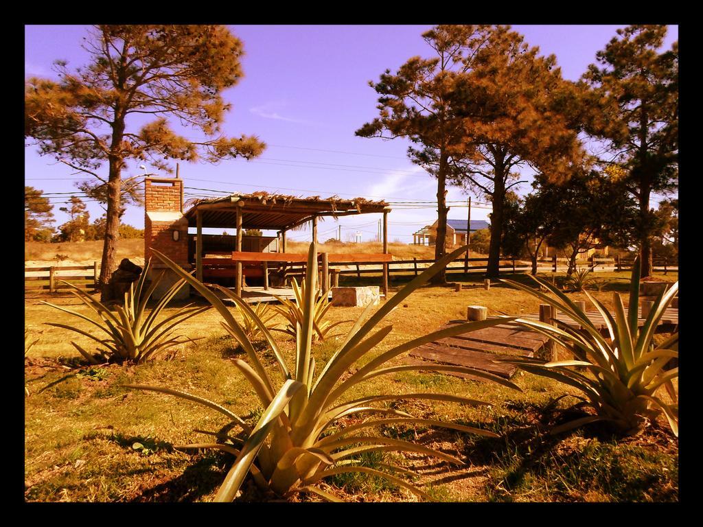 Hostel El Nagual Punta Del Diablo Exteriör bild