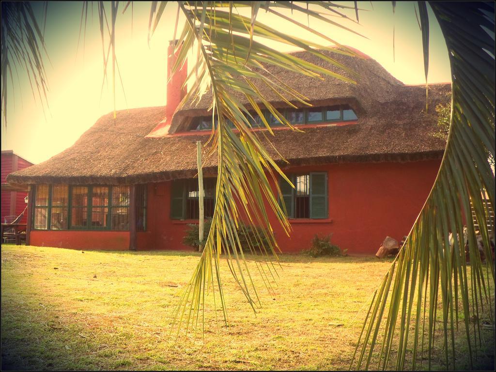 Hostel El Nagual Punta Del Diablo Exteriör bild